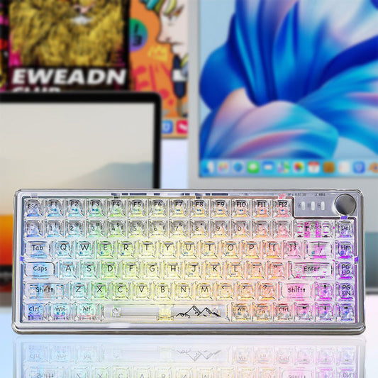 Universal transparente mechanische Tastatur mit RGB Hintergrundbeleuchtung